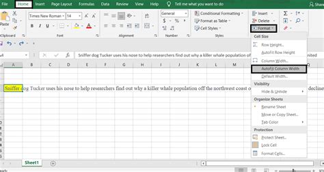 how to format long text in excel