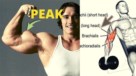 how to get a better peak on biceps