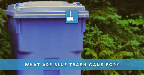 how to get a blue trash can