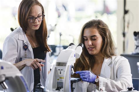 how to get a first class degree in biomedical science