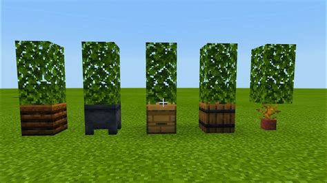 how to get a shrub in minecraft