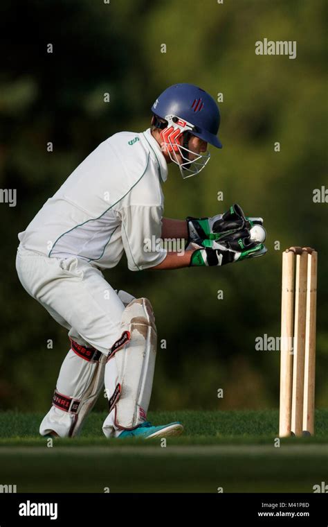 how to get a wicket in cricket