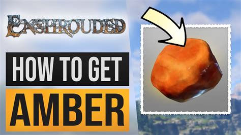 how to get amber fossil