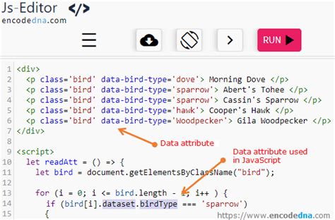 how to get attribute in javascript