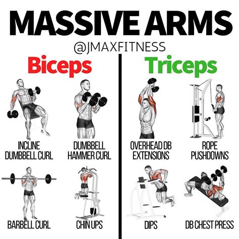 how to get biceps and triceps