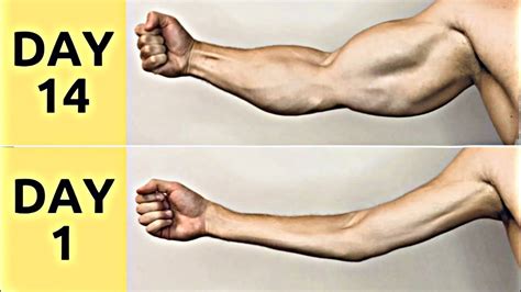 how to get bigger arms in a week without weights