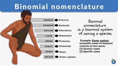 how to get binomial name