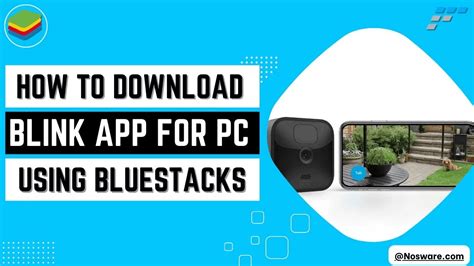 how to get blink app on pc