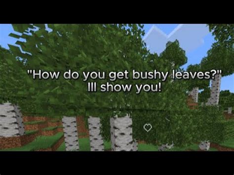 how to get bushy leaves in minecraft java