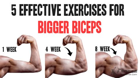 how to get definition in biceps
