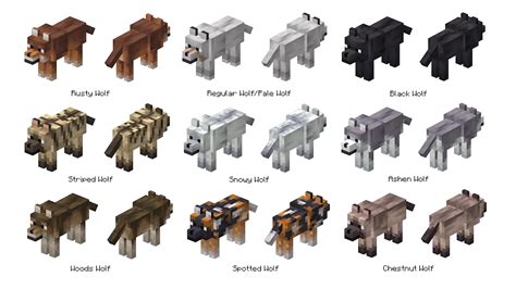 how to get different colored wolf in minecraft
