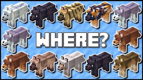 how to get different colored wolves in minecraft bedrock