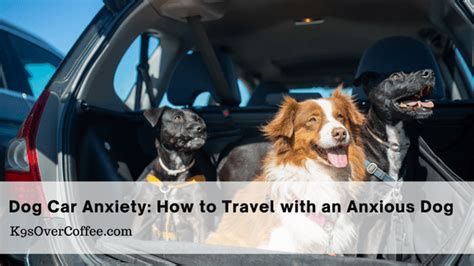 how to get dog over car anxiety