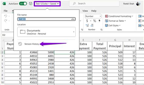 how to get history of excel sheet