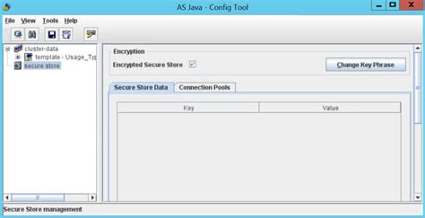 how to get key phrase in sap java