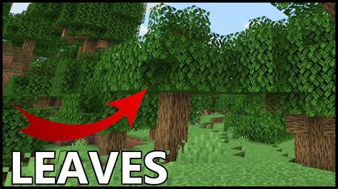 how to get leaf blocks in minecraft bedrock