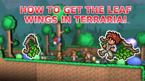 how to get leaf blocks in terraria