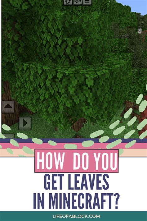 how to get leaves off a tree in minecraft