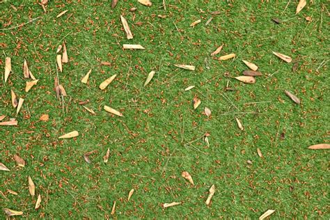 how to get leaves out of artificial grass