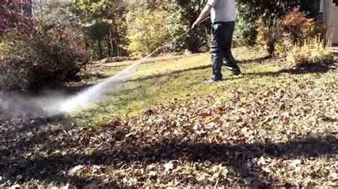how to get leaves out of your yard