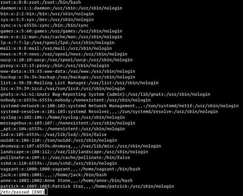 how to get list of users logged into a server linux