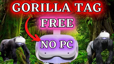 how to get mods in gorilla tag quest 2 for free