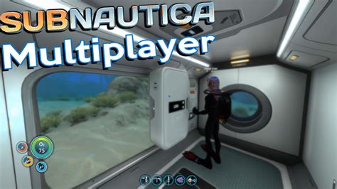 how to get multiplayer mod subnautica