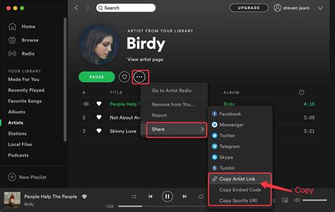 how to get music files from spotify