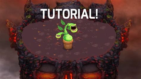 how to get pango in msm
