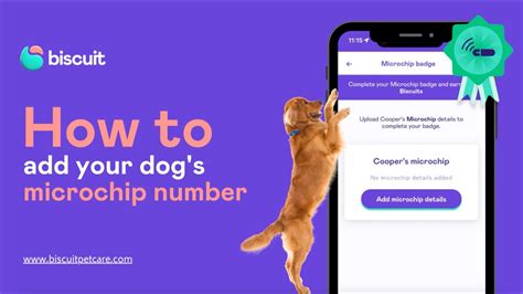 how to get pet microchip number