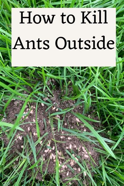 how to get rid of ants on fake grass