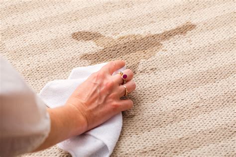 how to get rid of carpet stains with vinegar