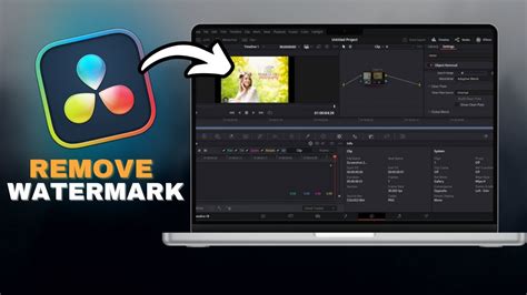how to get rid of davinci resolve studio watermark