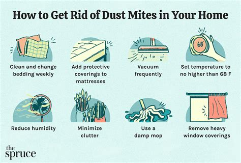 how to get rid of dust mites in my room