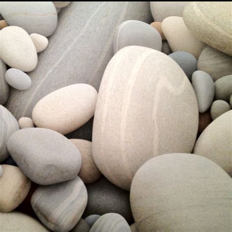how to get rid of leaves in rocks