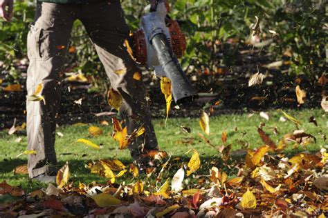 how to get rid of leaves in the garden