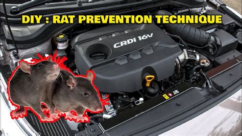 how to get rid of mice in a car engine