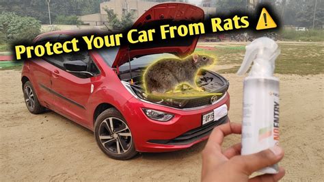 how to get rid of mice inside a car