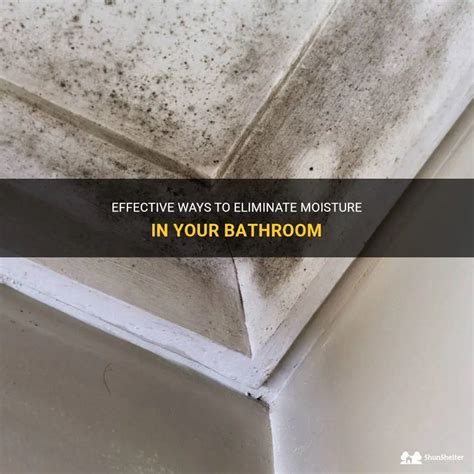 how to get rid of moisture in house