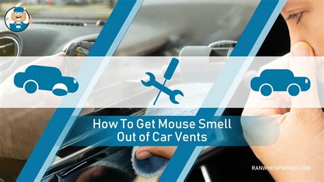 how to get rid of mouse out of car
