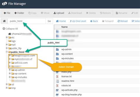 how to get root directory in wordpress