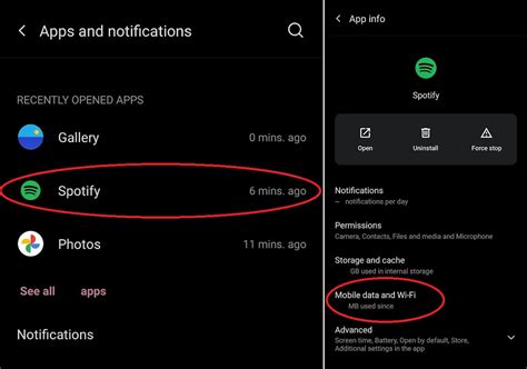how to get spotify to download on mobile data