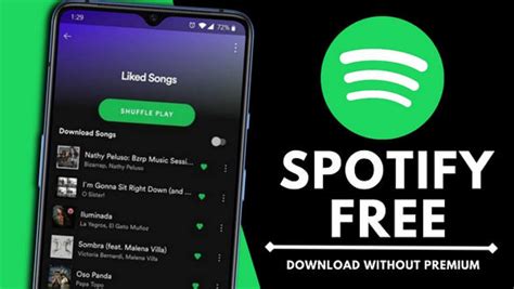 how to get spotify to play without internet