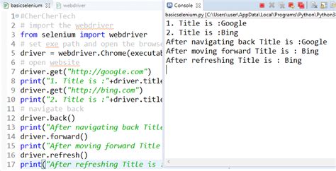 how to get text from webpage in selenium python