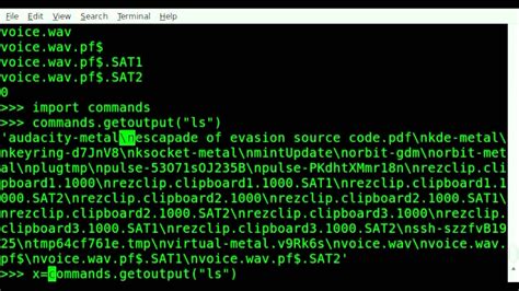 how to get the output of a linux command in python
