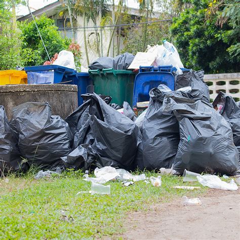 how to get trash removed