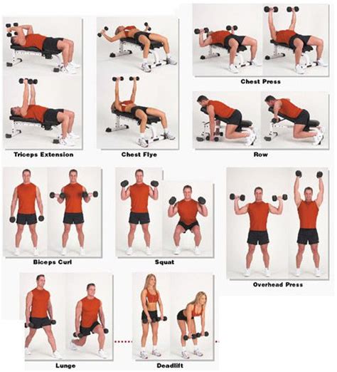 how to get triceps with dumbbells
