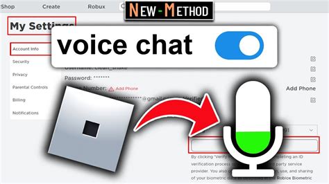 how to get voice chat on roblox for free 2024