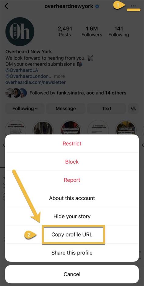 how to get your instagram url code