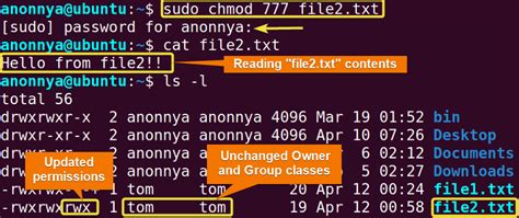 how to give full permission to a folder in linux for a user